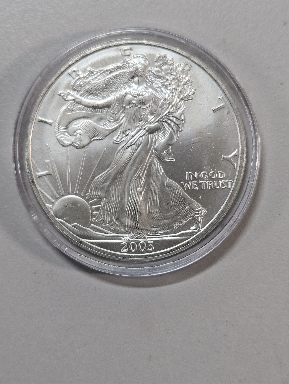 2003 Standing Liberty $1.00 1 oz. Fine Silver Colorized  Collectible USA Coin